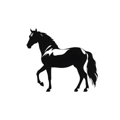 Obraz premium horse clipart silhouette