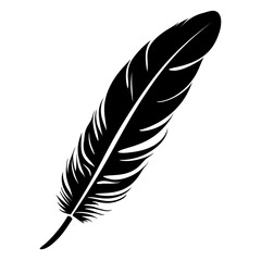 Fototapeta premium a feather silhouette