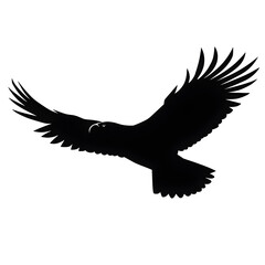 eagle flight silhouette