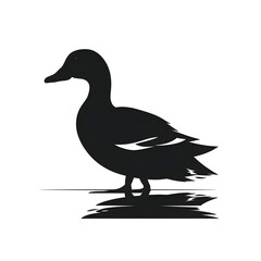 Obraz premium mallard silhouette