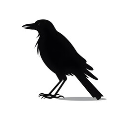 Fototapeta premium bird clipart silhouette