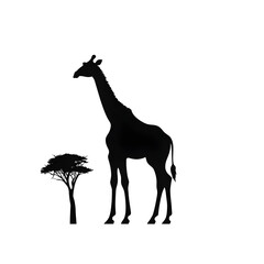 Fototapeta premium giraffe art silhouette