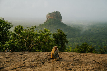 Punkt widokowy © Katarzyna