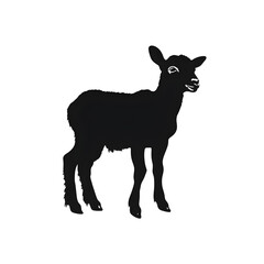 Fototapeta premium a lamb silhouette