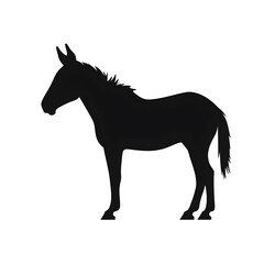 Obraz premium donkey silhouette