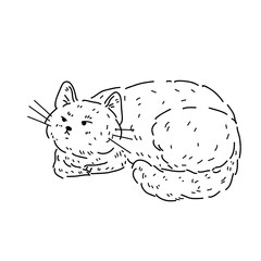 Vector illustration of a cat lying on its belly with curious look, side view on white background. Funny kitten for children coloring and design with pets for veterinary clinic