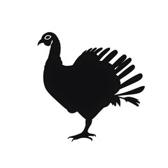 Fototapeta premium turkey silhouette