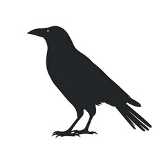 Fototapeta premium crow silhouette