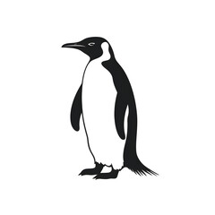 Fototapeta premium penguin silhouette