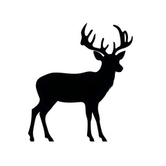 Fototapeta premium whitetail silhouette