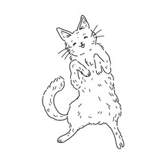 Vector illustration of fluffy cat with closed eyes showing tongue top view on white background. For children's coloring books and veterinary clinic design