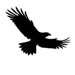 Fototapeta premium eagle flying silhouette