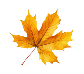 Fototapeta premium Falling leaf event nature isolated on transparent background - Generative AI