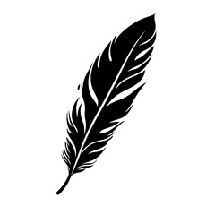 Fototapeta premium feather silhouette