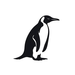 Obraz premium a penguin silhouette