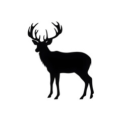 Obraz premium white tailed deer silhouette