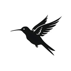 Fototapeta premium hummingbird silhouette