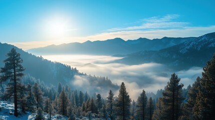 Obraz premium Nevada Morning Photography: Crisp, clear and vast desert skies usher in a serene, invigorating dawn over an expansive arid landscape.