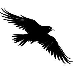 Fototapeta premium bird flight silhouette