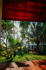 Domek wśród palm © Katarzyna