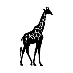 Obraz premium a giraffe silhouette