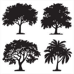 Fototapeta premium set vector various mango tree silhouettes