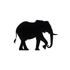 Fototapeta premium elephant silhouette