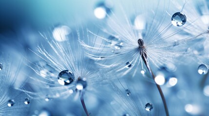 Macro Dandelion Seed with Dew Drops - Natural Beauty Close-up