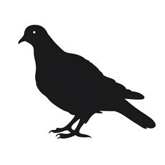 Fototapeta premium dove silhouette