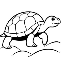 Turtle Vector Illustration. High-Quality Sea and Land Turtle Graphics for Designers.