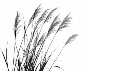tall grass in black and white blowing in the wind PNG image, PNG file, Generative art.