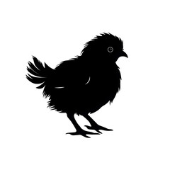 Obraz premium chick silhouette