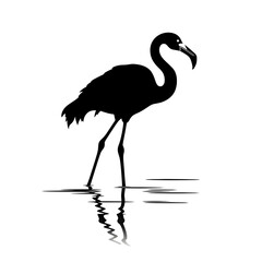 Obraz premium a flamingo silhouette