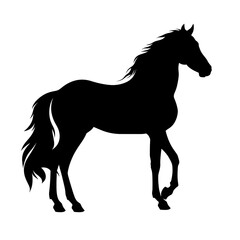 Obraz premium horse silhouette