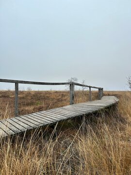 Chemin de bois sur pilotis caillebotis dans les herbes hautes, ambiance brumeuse et m&eacute;lancolique