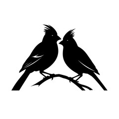Obraz premium cardinals silhouette