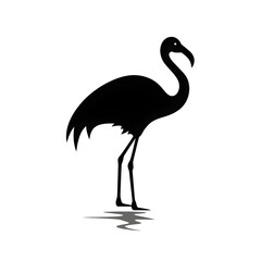 Obraz premium flamingo silhouette