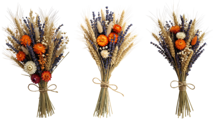 Vibrant floral bouquets with dried flowers and wheat stalks decorative botanical design transparent background