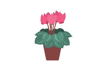 シクラメンの鉢植えのイラスト