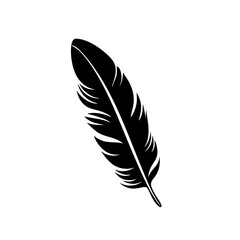 Fototapeta premium feather silhouette