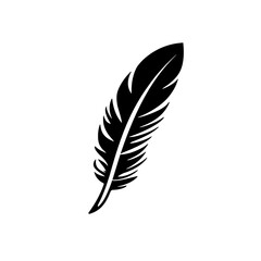 Fototapeta premium a feather silhouette