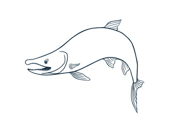 Single trout silhouette black white vector illustration. Salmon sketch hand drawn. Nerka sea fish painted ink linear art. Sockeye drawing in outline. Design element for package, label, sign board.