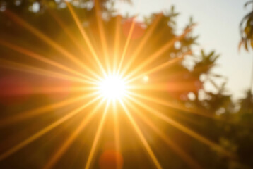 Obraz premium Warm golden glow with blurred bokeh and clear focus on the subject, luxurious summer mood.