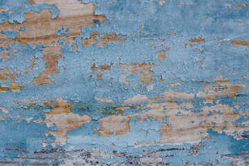 Old damaged and cracked blue paint on a wooden shutter. Texture of worn paint on wood for background.