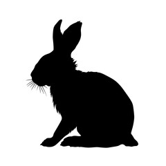 Naklejka premium bunny silhouette