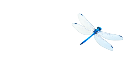 a white dragonfly on a transparent background, PNG image, PNG file, Generative art.