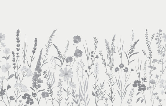 vector illustration of monochrome background with various wildflowers and delicate plants, seamless from right to left
