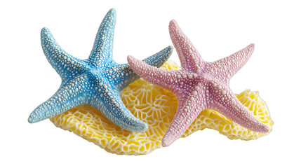 a group of starfish on a transparent background, PNG image, PNG file, Generative art.