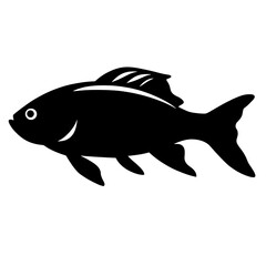 Fototapeta premium fish silhouette