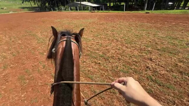passeio com cavalo 
